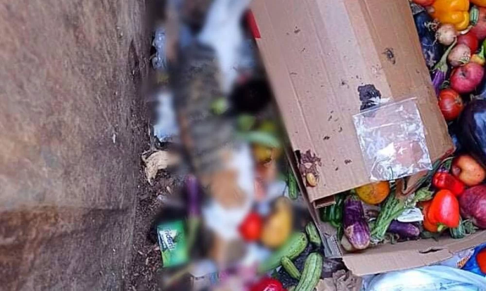 Κτηνωδία: Μαζική δολοφονία αδέσποτων γατιών με φόλες σε Αιγάλεω